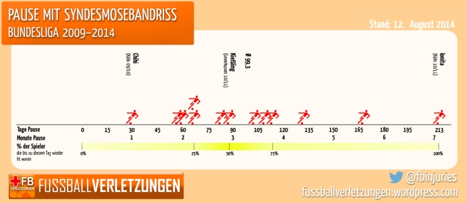 Pause mit Syndesmosebandriss, Bundesliga 2009-2014
