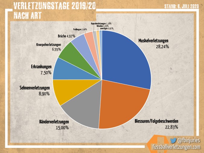 Grafik: Verletzungstage nach Art 2019/20. Am häugisten waren Muskelverletzungen (28,2%) und kleinere Blessuren (22,8%).