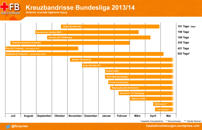Kreuzbandrisse 2013/14