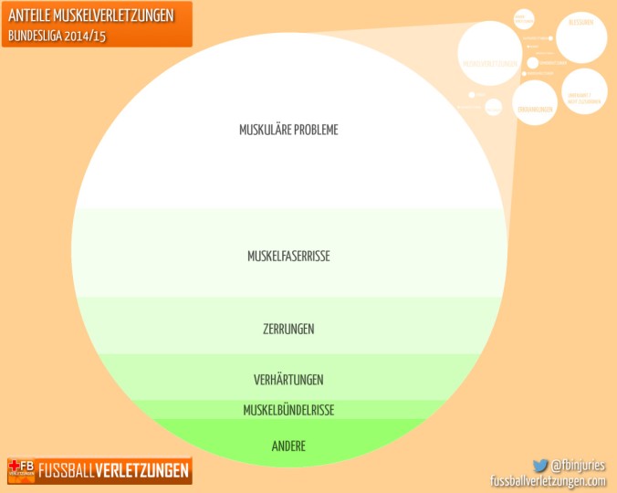 Grafik: Die häufigsten Muskelverletzungen. Am häufigsten sind muskuläre Probleme.