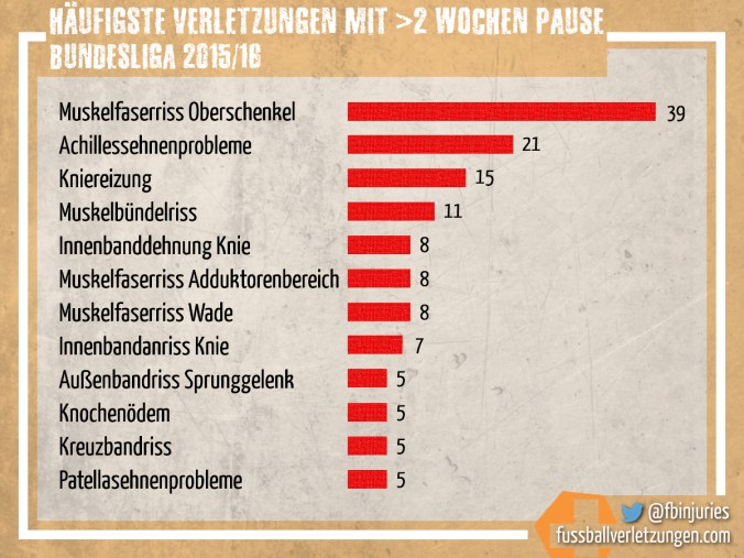 Grafik: Die häufigsten schweren Verletzungen der Saison 2015/16. Muskelfaserrisse sind am häufigsten.